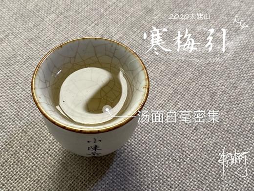 2020头采米针，春风十里时节太姥山上的寒梅引（50克品鉴装） 商品图10