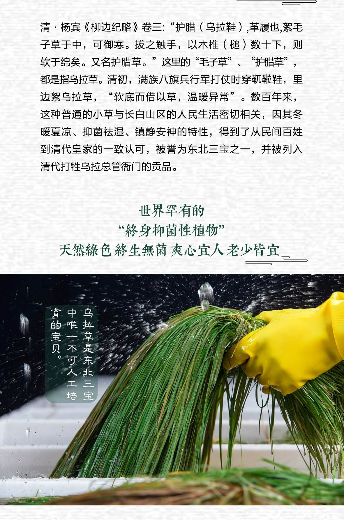 【长山白塔头】"东北三宝乌拉草"69.