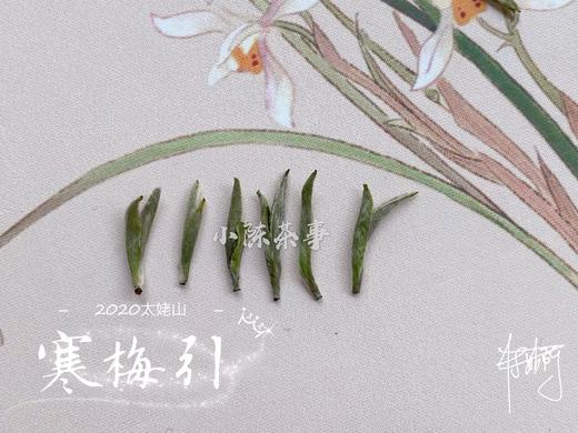 2020头采米针，春风十里时节太姥山上的寒梅引（1斤收藏装） 商品图4