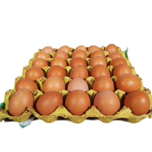 散鸡蛋 商品图3