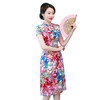 QQ-9690夏新品A字裙真丝旗袍裙中国风时尚修身中式礼服 商品缩略图4