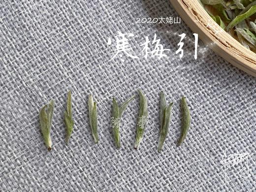 2020头采米针，春风十里时节太姥山上的寒梅引（50克品鉴装） 商品图3