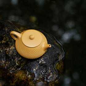 龙德堂陶艺 汤先武制 《风系列 风菊》 350cc(库存请咨询客服)