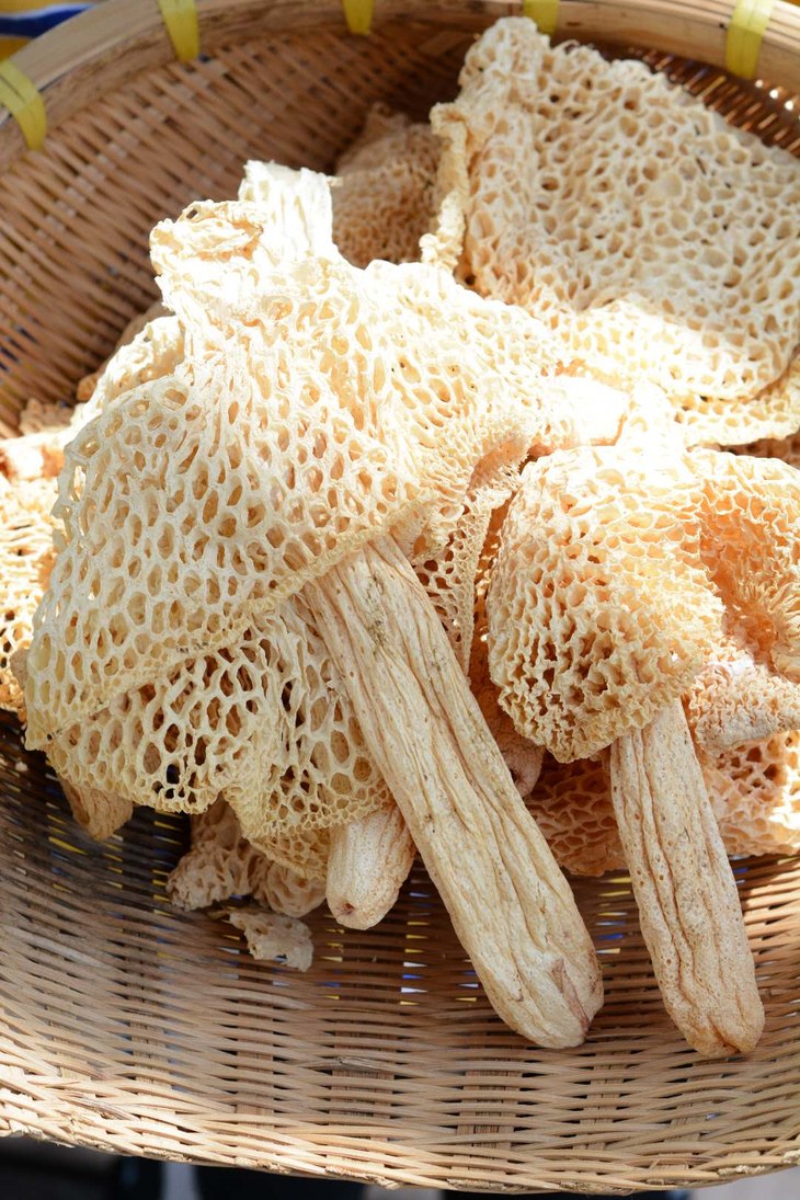 蜀地竹海貌美味佳长裙竹荪竹毛肚