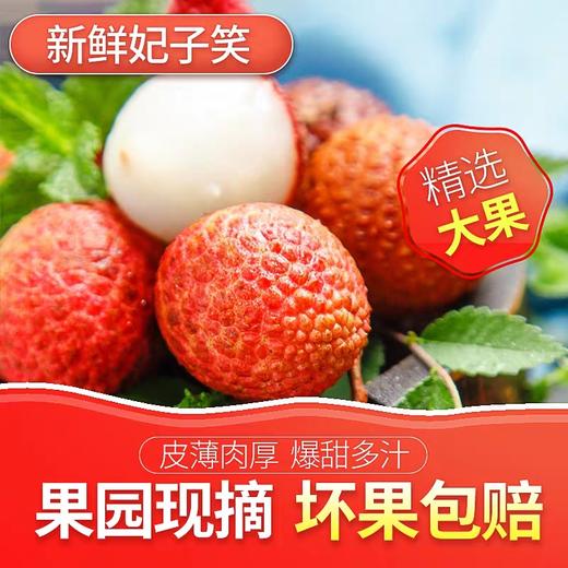 【超市】妃子笑荔枝王 一斤装 商品图0