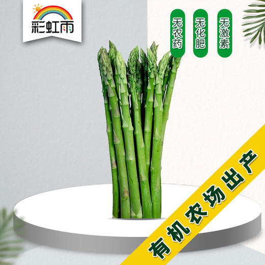 彩虹雨农场 生态蔬菜 新鲜蔬菜新鲜芦笋 京津冀满百包邮 商品图0