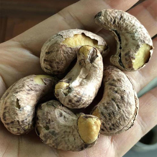 越南老树腰果 | 特选超大果 颗颗直径达3cm  味正香浓 绝无坏果（1盒装） 商品图1