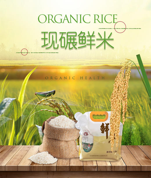 全国包邮鲜稻鲜得现碾鲜米内蒙古兴安盟大米25kg2袋