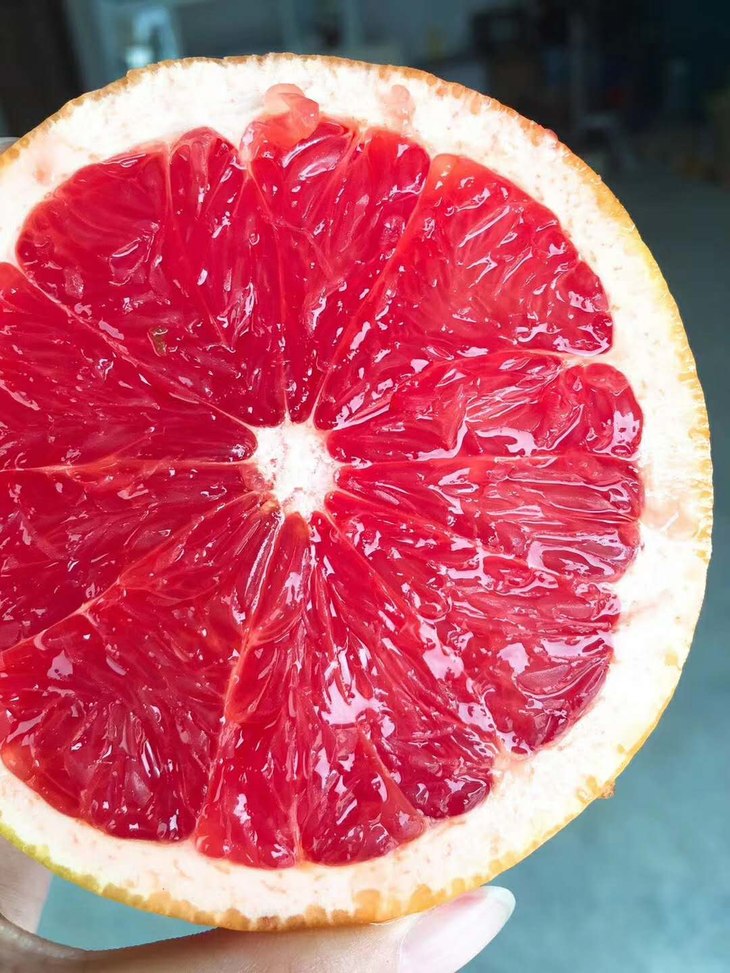 【南非红宝石西柚】来自南非的"红宝石",粒粒爆汁!