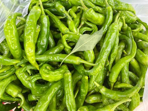 朴愿农场有机辣椒青香辣椒嫩嫩的口感微辣满足怕吃辣的宝宝们