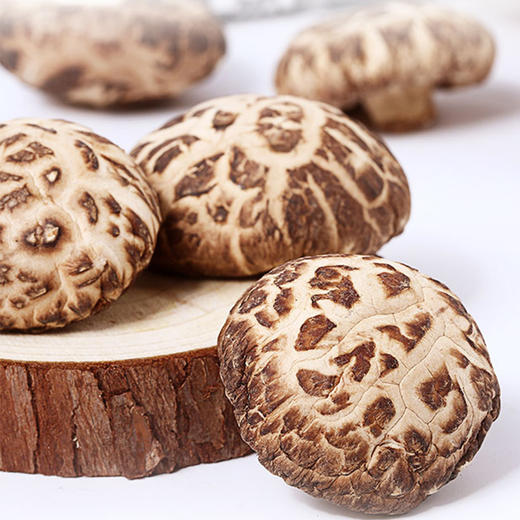 房县小花菇250g 商品图3