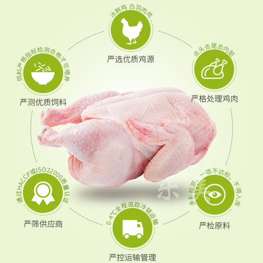 太太乐鸡精调味料 商品图3