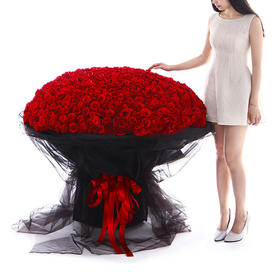 365支520支999支红玫瑰超大花束