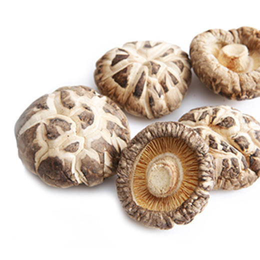 房县小花菇250g 商品图2