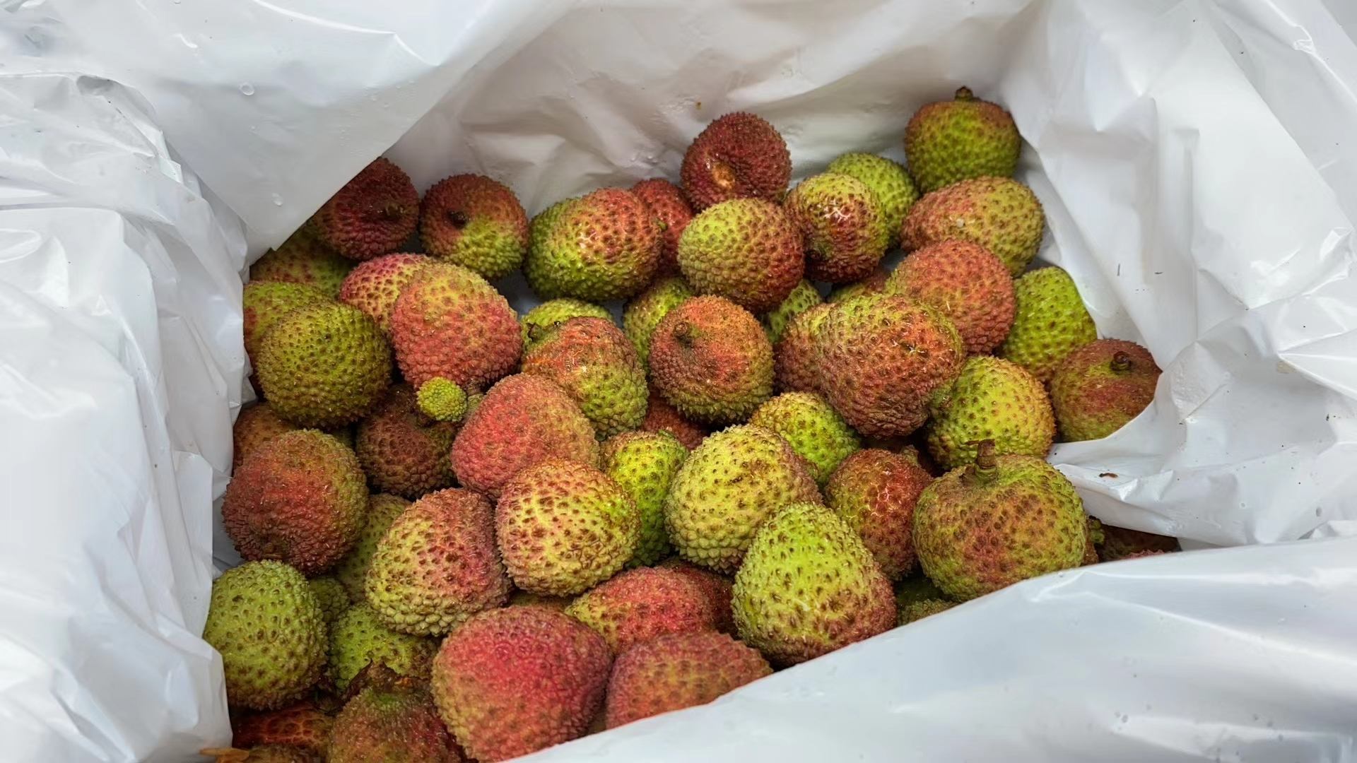 匠心极妃子笑荔枝 无泡水 干荔枝,安心荔枝 一箱两篮 5斤装 - 天天果