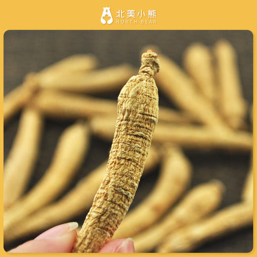 加拿大西洋参长枝 半磅 227g #宁波仓 商品图4