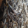 【凰馨古茶】凰心班章普洱生茶茶饼云南古树纯料老班章普洱茶茶叶 商品缩略图1