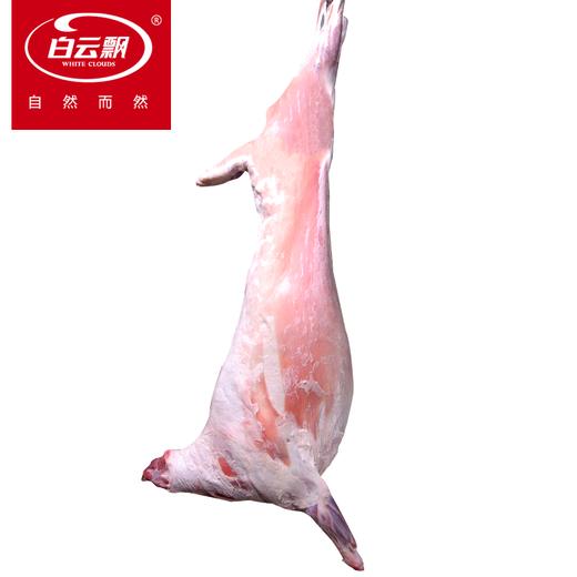 白云飘 内蒙整只全羊22斤 锡盟白条羊礼盒 商品图2