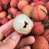 高州水库白糖罂荔枝 3/5斤装 顺丰空运  （收到后冷藏下 口感更好） 商品缩略图7