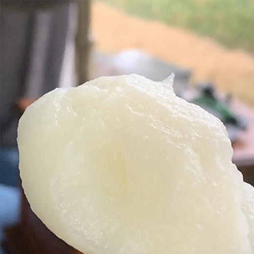 温国山药粥/山药粉  |  山药粉粥是温国山药专门在焦作市食药监局备案的产品名称！ 商品图2