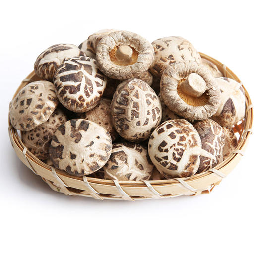 房县小花菇250g 商品图1