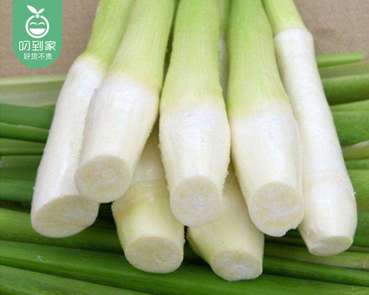 【叼鲜蔬】漳州新鲜带壳茭白/1份（1.5kg±100g） 商品图4