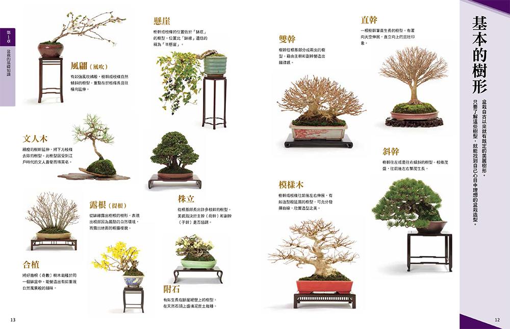 中商原版 超图解74款景观盆栽入门技法港台原版广濑幸男台湾东贩