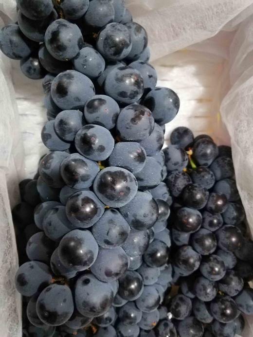 蓝莓葡萄1串400500克左右