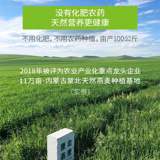 蒙北雪原燕麦  |  北纬46度,雪原种植,有机认证的大颗粒燕麦！ 商品图1