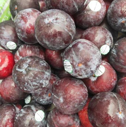 820进口智利一级黑布林黄肉15斤