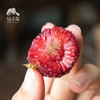 生态东魁杨梅 | 合作生产*Eco-waxberry | Coproduction 商品缩略图1