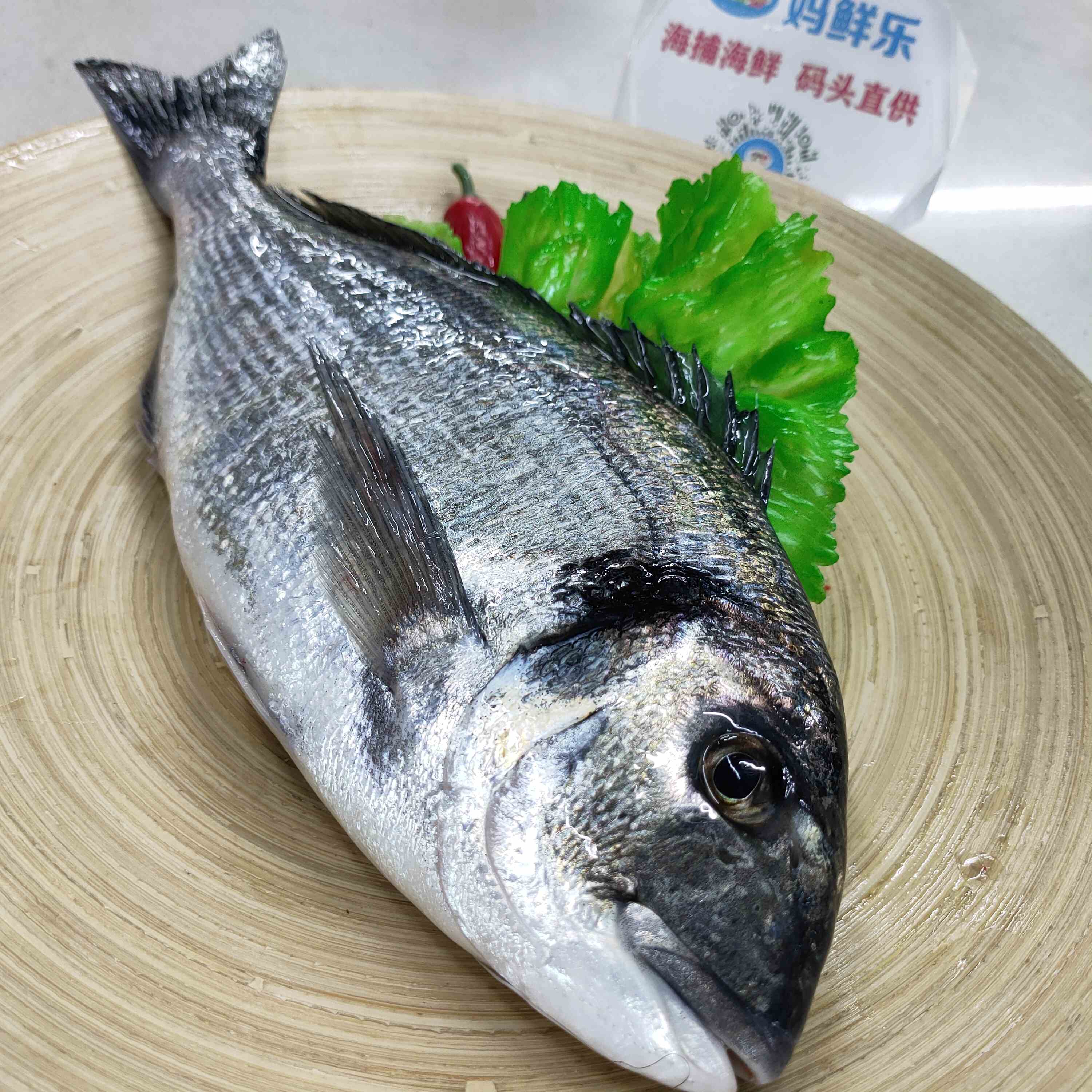 【金鲷鱼】 深海品种，剌少肉多，肉质鲜美， 剌身品质，新鲜捕捞，杀好急冻