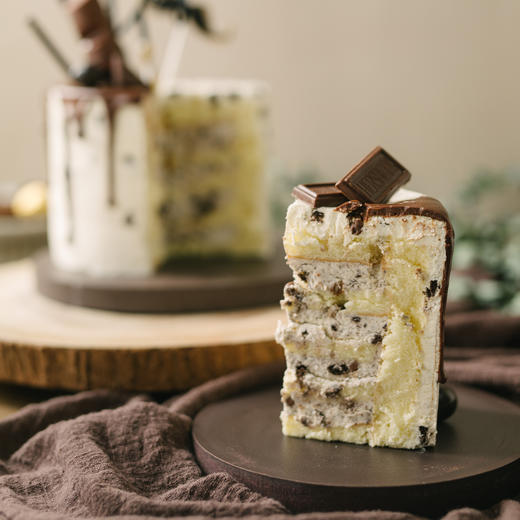 一家之主 商品图2