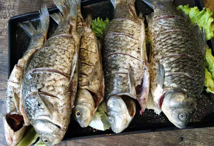 糊辣鱼大锅35斤大滇园