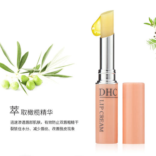 日本DHC橄榄护唇膏 商品图2