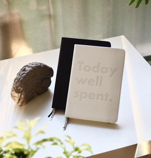 炼今手册中文版 - 注意力管理手册 - 90天自我提升与管理 商品图7