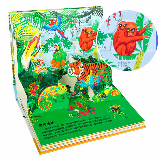法国孩子的纯美科普立体书-恐龙世界 原价99.8 商品图3