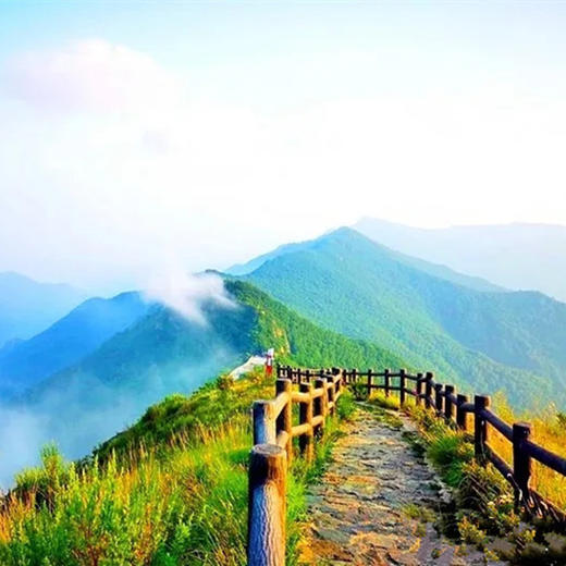 [团建]【百花山】漫山鲜花-无边草甸-栈道-云雾｜休闲登山一日游] 商品图1