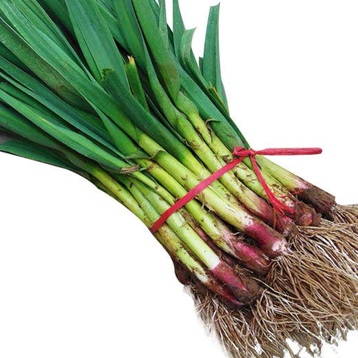 测试弥甜12 商品图0