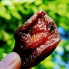 🎁春山喜食 / 阳光琥珀杏干 / 酸甜软糯 / 无核杏肉杏脯果脯 / 水果干零食 / 独立手抓包 105克/罐 商品缩略图6