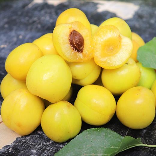 现摘新疆小白杏新鲜水果应季当季甜杏净重3斤左右渝贵川包邮