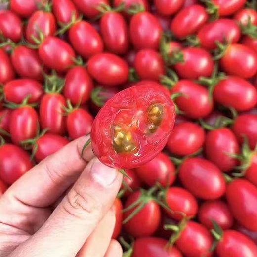 【玲珑小柿子】2斤/3斤/4斤，皮薄柔嫩，纯粹自然 商品图2