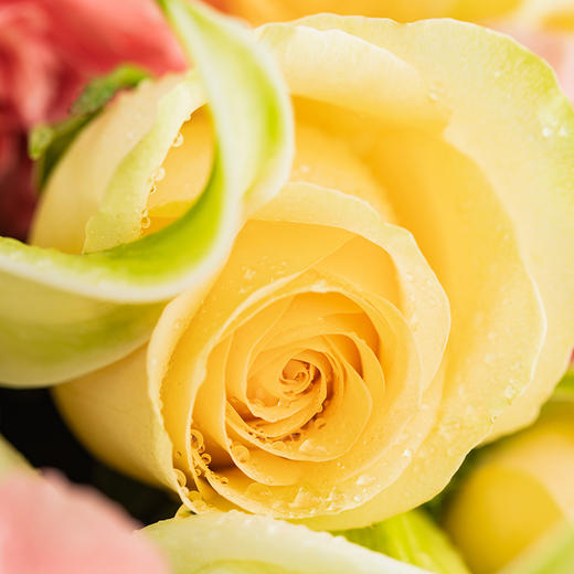 馨语心愿鲜花 仅和生日蛋糕下午茶一起配送（重庆） 商品图3