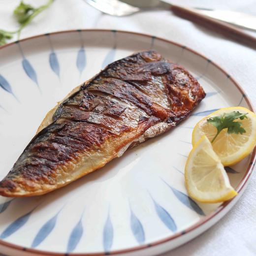 【下单后48小时左右发货】挪威进口深海 冷冻青花鱼 2袋4片 170g左右/片 夏季会化介意勿拍。 商品图8