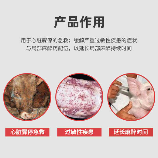 兽药盐酸肾上腺素注射液马牛羊猪犬用过敏性疾患心脏骤停急救 商品图1