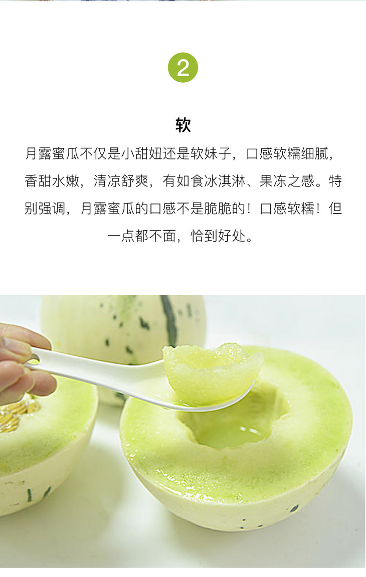 新品上线有机月露蜜瓜超软超甜沉淀越久越甜顺丰包邮