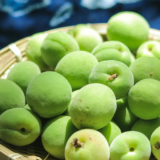 5月份云南新鲜青梅现摘现发水润爽酸口感清脆可腌制泡青梅大果5斤装