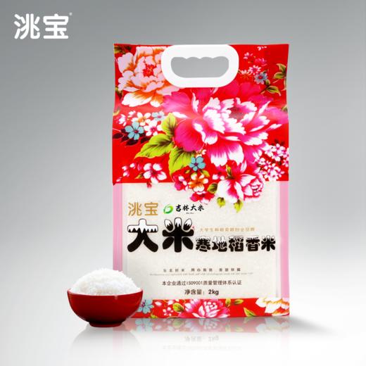 洮宝  寒地系列大米稻香米 东北大米2kg 商品图0