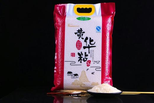荆晶黄花粘5KG 商品图1