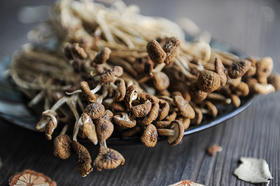 古田一级无熏硫茶树菇 200g*2袋